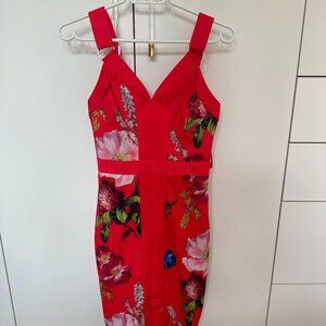 Ted Baker Spring Dress